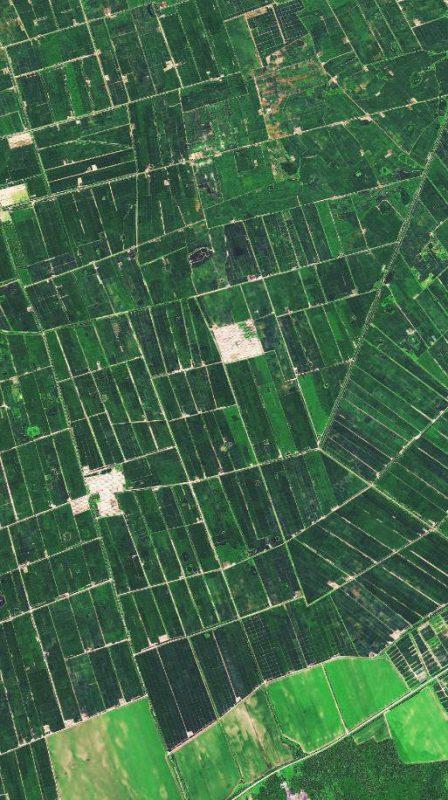 ▲图为卫星拍摄的黑龙江勒得利农田。卫星图像来源：天地图